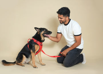 How Custom Embroidered Apparel Celebrates the Bond Between Pets and Owners