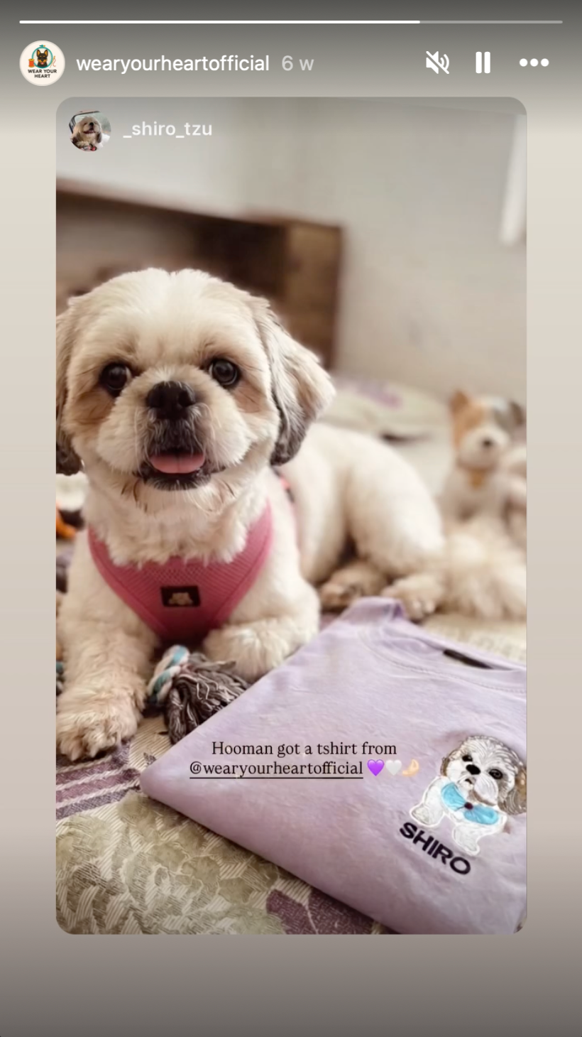 Shiro beside a custom embroidered pet T-shirt